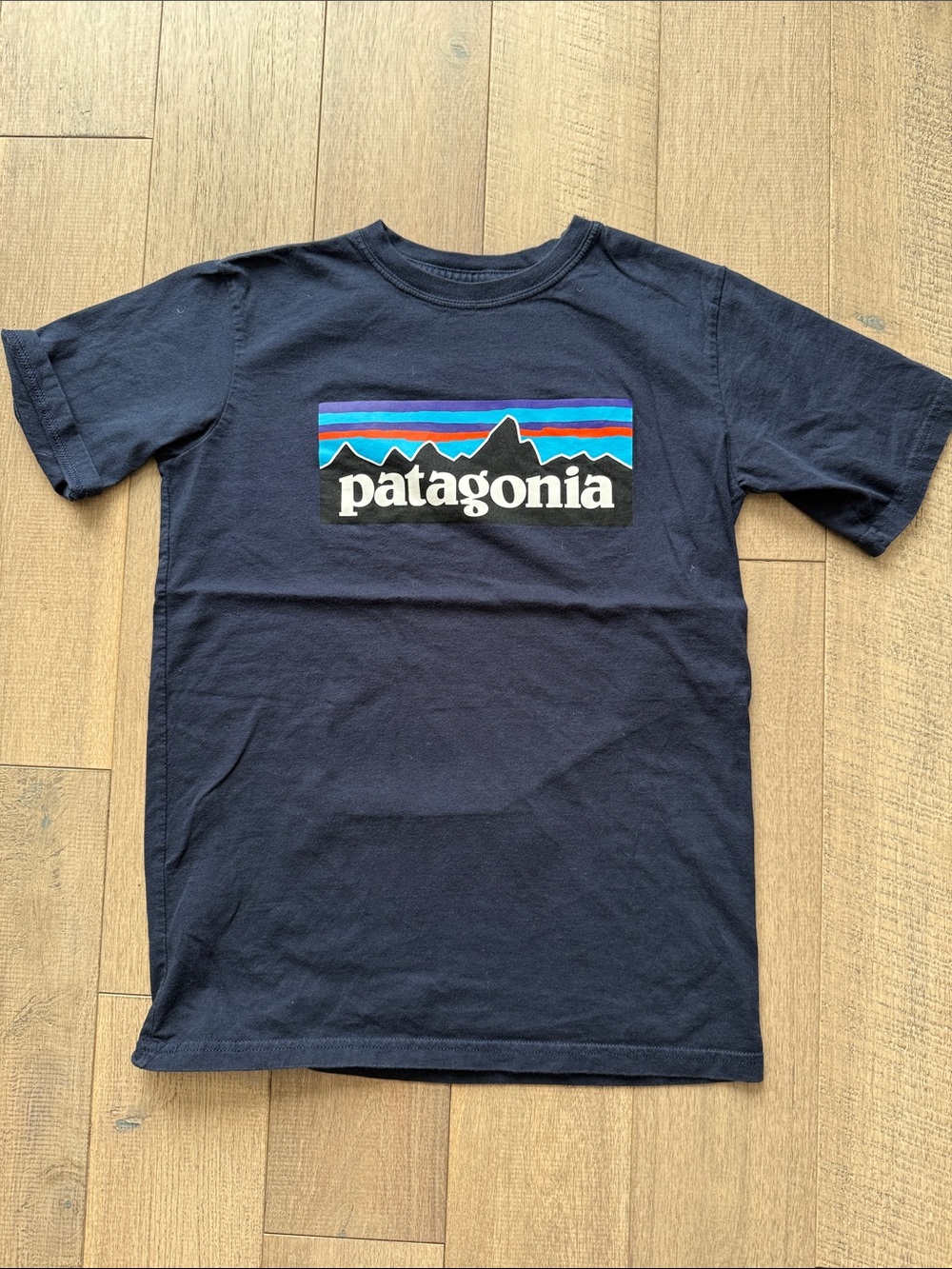 Patagonia Tee Shirt